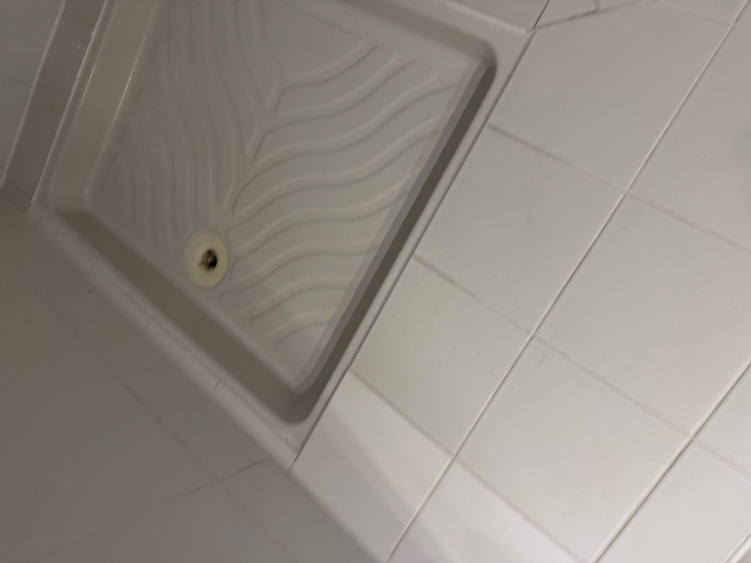 Douche après réfection des joints de carrelage et du joint silicone du bac