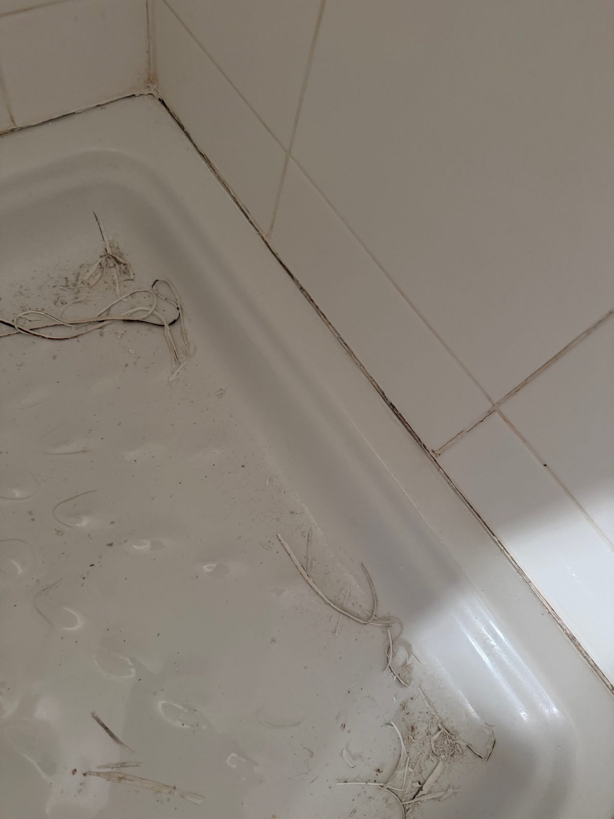 Douche 1 pendant l'intervention : bac nettoyé après retrait du silicone