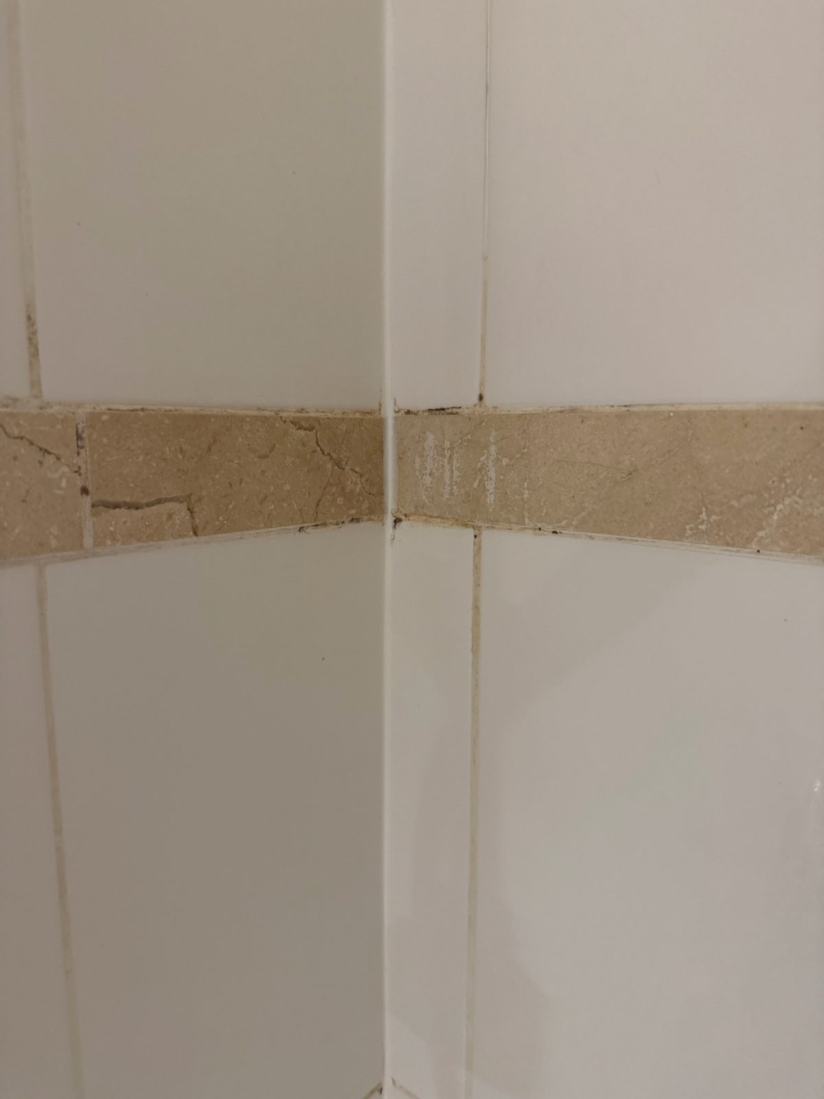 Douche 2 avant intervention : joints de carrelage encrassés