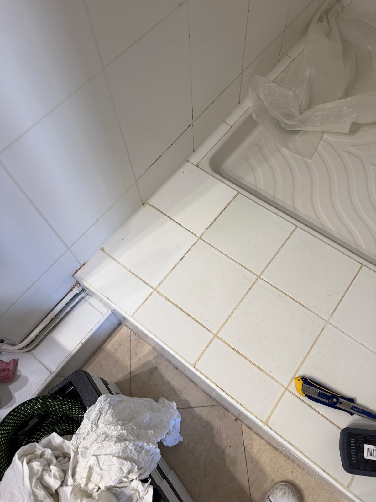 Douche 2 avant intervention : joints de carrelage jaunis autour du bac