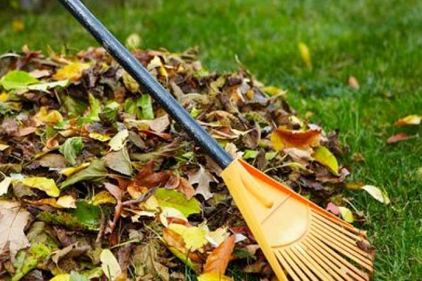 Un jardin propre toute l'année